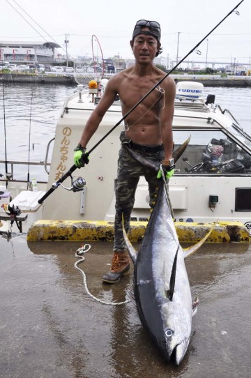 マグロ シイラ釣り 東京湾でタイラバは のんちゃん丸 で