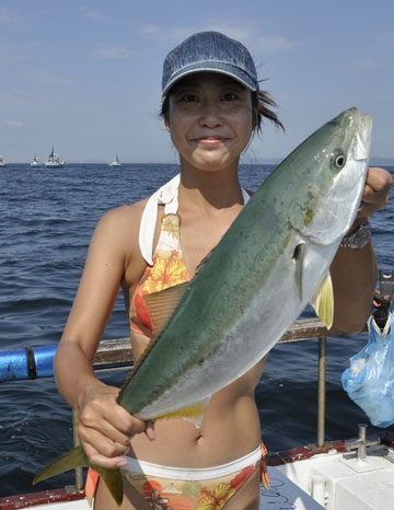 やりました！立派なワラサ