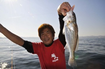 36cmの巨大なイシモチ　66mでヒイカに来ました