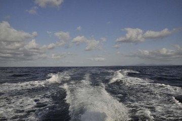 海は夏です