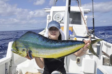 マグロの仕掛けを入れてる途中でデカイ「シイラ」が・・・