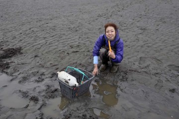 ケッコウはまるシジミ採り