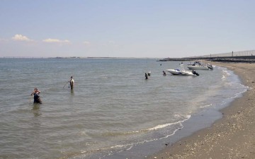 羽田のアサリ場