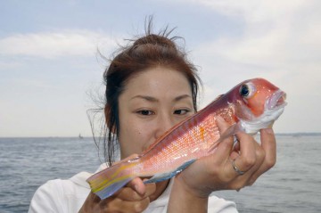 今日一番のアマダイ