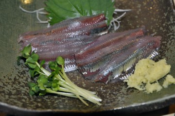 最高！！！　イワシの刺し身