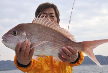 仕掛けを入れた瞬間に来ました・・・50cmのタイ