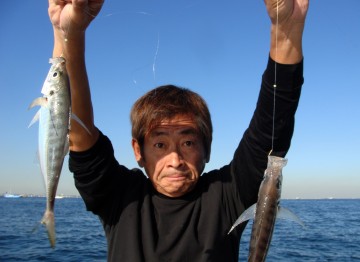 食べごろのアジの一荷