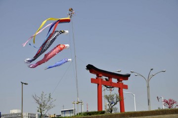 羽田神社の鯉のぼり・・・もうすぐ連休ですネ