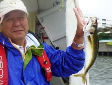 さらに大アジまで釣り上げ今日は腕の見せ所