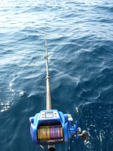 サバを一本・・・遊動で流す