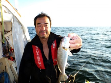 マアマアの型のイシモチ・・・魚が異常に冷たい！！