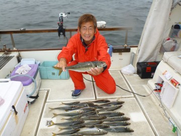 アジだけ・・・サバも他の外道もいないなんて不思議