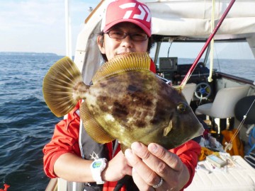 今日一番の28cmのカワハギ・・・