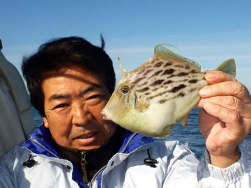 横さんも頑張ってます