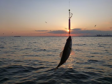 夕日をバックに・・・