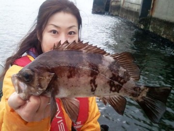 きました丸々と太った29cmのメバル・・・