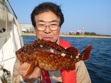 ヤッと横さんに・・・サイズは30cm弱・・立派です