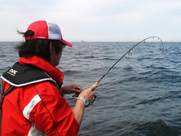 釣れたメゴチをエサに何かが・・・あがってきたのは1mを超すサメでした