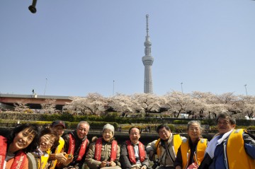 バックにはスカイツリーと満開の桜・・・