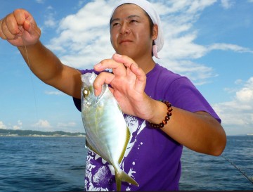 カイワリが・・・佐野さんの竿に