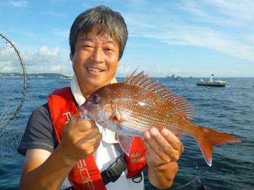 続いて亀さんにもマダイが