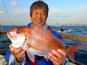 亀さんにすぐ45cmのキレイなマダイが・・・