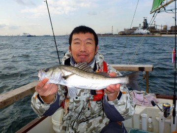 これで50cm・・・目標は70cm　残念！！！