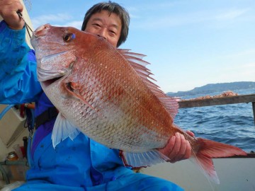 70cm・・・最高のマダイ・おめでとう亀さん！！！！！