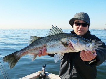 揚野さん・・・今日最大６５ｃｍ