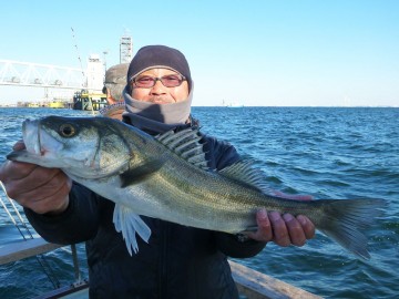 ５０cmちょい・・・マジさんが最初に釣り上げました