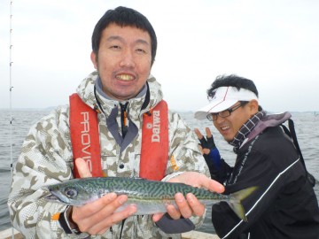 脂ののったマサバが土田さんに！