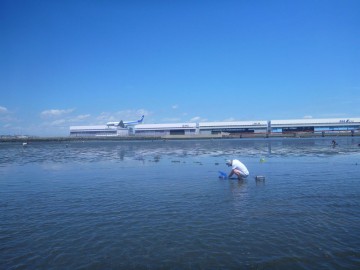 飛行機が目の前に降りてくる素晴らしいロケーションです