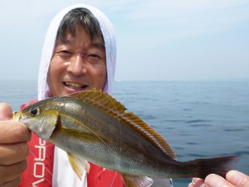 中型の今が旬のイサキ・・・塩焼きに最高です！