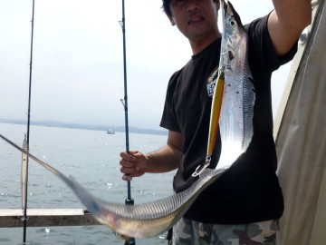 １mのタチ・・・釣り上げた瞬間はととても美しい・・柴田さん