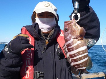 奥さんにトッビきり美味しいハタが・・・