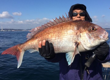 今度は７０cm4.6kg・・・・ビックなマダイが！！！