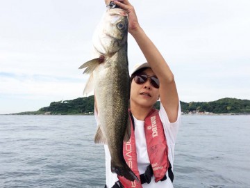 観音で釣れるスズキは内臓も綺麗！