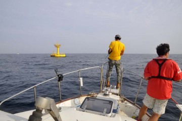 城ヶ島沖漁樵ブイ・・・シイラ　ルアーを追うものヒットせず！