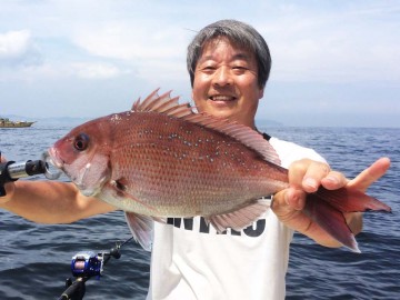 綺麗なメスのマダイ・・綺麗です！