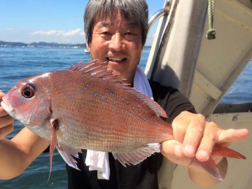 小型ながら綺麗なピンク・・・亀さん