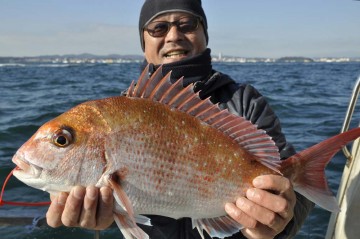 いつ見ても美しい・・・マジさん1.54kg