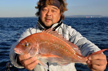 綺麗なマダイ・・・大田くん！