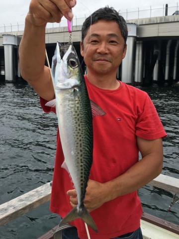 このサイズがどこでも入れ食い・・・