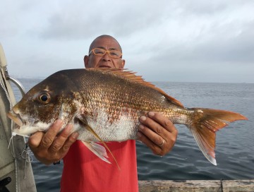 朝一で1.98kg・・・続くかと思ったが・・・！