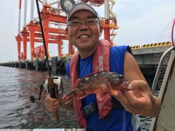 カサゴが食い始め・・・