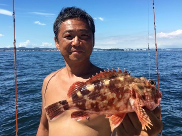 綺麗なカサゴが・・・・