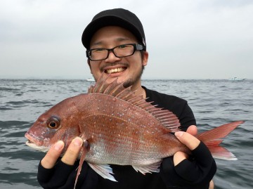 綺麗なピンクが・・・