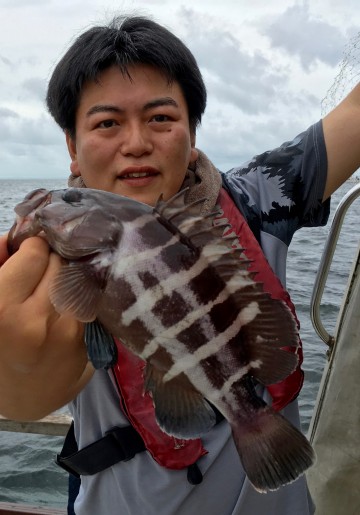 珍しい高級魚マハタが・・・！