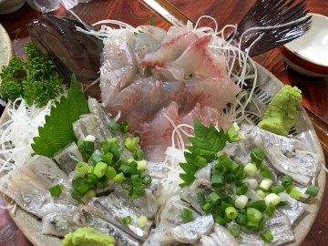 高級魚マハタのお造りとタチウオのお炙り・・・