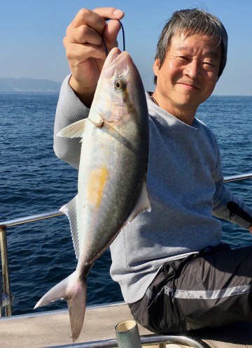 ピンクじゃない・・・と　カンパチの子供でした